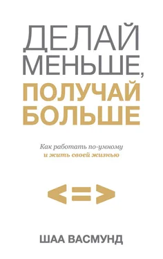 Шаа Васмунд Делай меньше, получай больше. Как работать по-умному и жить своей жизнью обложка книги