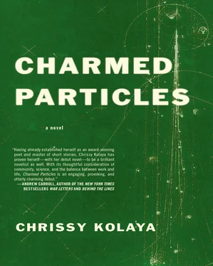 Chrissy Kolaya Charmed Particles обложка книги