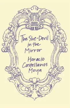 Horacio Castellanos Moya The She-Devil in the Mirror обложка книги