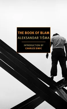 Aleksandar Tisma The Book of Blam обложка книги