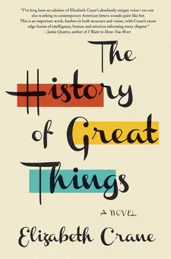 Elizabeth Crane The History of Great Things обложка книги