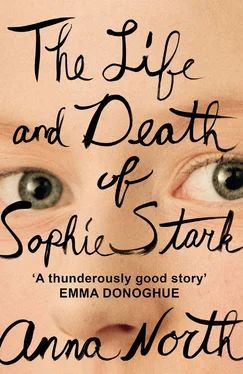 Anna North The Life and Death of Sophie Stark обложка книги