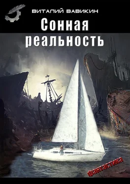 Виталий Вавикин Сонная реальность обложка книги