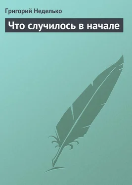 Григорий Неделько Что случилось в начале обложка книги