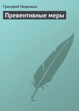 Григорий Неделько Превентивные меры обложка книги