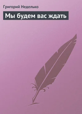 Григорий Неделько Мы будем вас ждать обложка книги