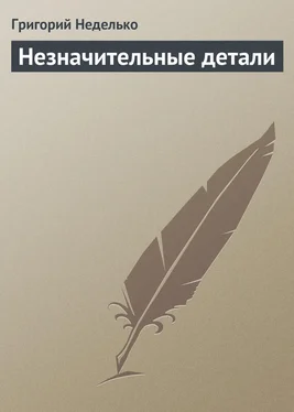 Григорий Неделько Незначительные детали обложка книги