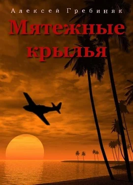 Алексей Гребиняк Мятежные крылья обложка книги