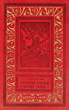 Эмма Выгодская Опасный беглец. Пламя гнева обложка книги