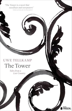 Uwe Tellkamp The Tower обложка книги