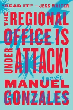 Manuel Gonzales The Regional Office Is Under Attack! обложка книги