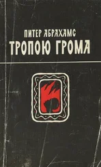Питер Абрахамс - Тропою грома