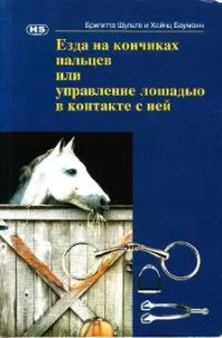 Бригитта Шульте Езда на кончиках пальцев или управление лошадью в контакте с ней обложка книги