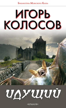 Игорь Колосов Идущий обложка книги