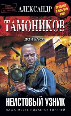 Александр Тамоников Неистовый узник обложка книги