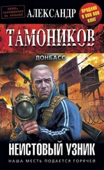 Александр Тамоников - Неистовый узник
