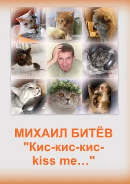 Михаил Битёв Кис-кис-кис-kiss me... (СИ) обложка книги