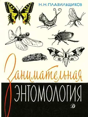 Николай Плавильщиков Занимательная энтимология обложка книги