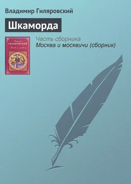 Владимир Гиляровский Шкаморда обложка книги