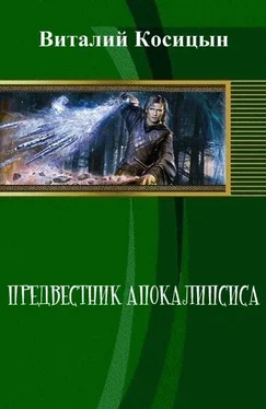 Виталий Косицын Предвестник апокалипсиса (СИ) обложка книги