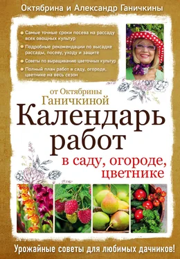 Октябрина Ганичкина Календарь работ в саду, огороде, цветнике от Октябрины Ганичкиной обложка книги