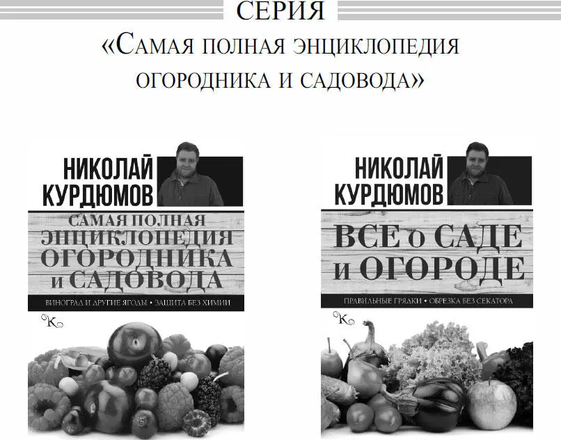 Примечания 1 ПЕРЛИТ минерал в размолотом виде белый упругий легкий - фото 48