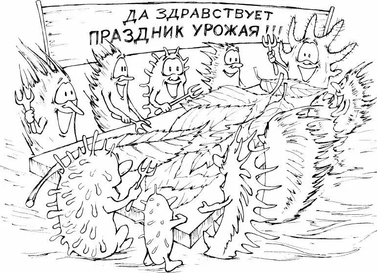 ПЛОДОРОДИЕ Способ питания сапрофитов сама суть плодородия Все сапрофиты - фото 38
