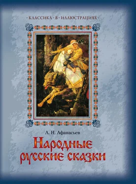 Александр Афанасьев Народные русские сказки обложка книги