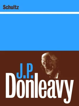 J. Donleavy Schultz обложка книги