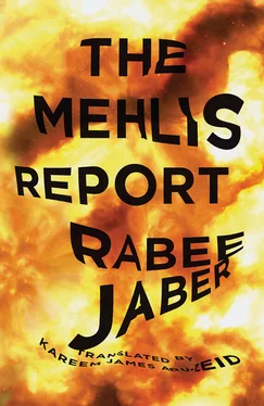 Rabee Jaber The Mehlis Report обложка книги