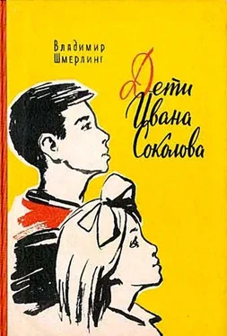 Владимир Шмерлинг Дети Ивана Соколова обложка книги