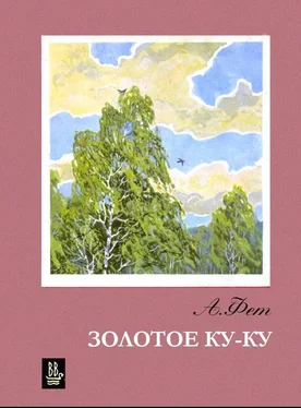 Афанасий Фет Золотое Ку-ку обложка книги