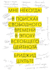 Бриджид Шульте - Мне некогда! В поисках свободного времени в эпоху всеобщего цейтнота