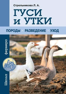 Любовь Стрельникова Гуси и утки обложка книги