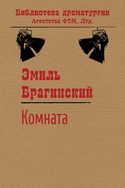 Эмиль Брагинский Комната обложка книги