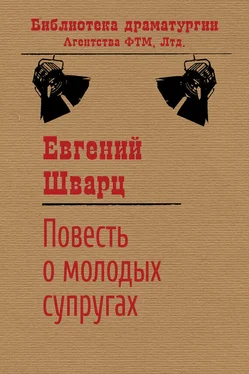 Евгений Шварц Повесть о молодых супругах обложка книги