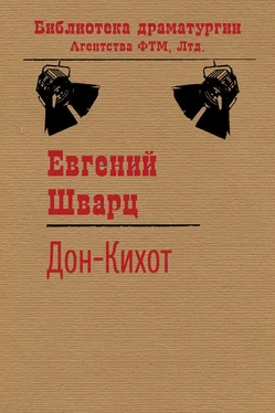 Евгений Шварц Дон-Кихот обложка книги