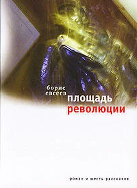 Борис Евсеев Площадь Революции. Книга зимы (сборник)