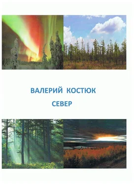 Валерий Костюк Север (СИ) обложка книги