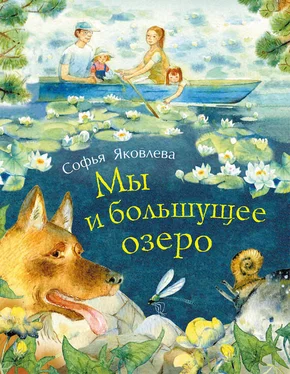 Софья Яковлева Мы и большущее озеро обложка книги