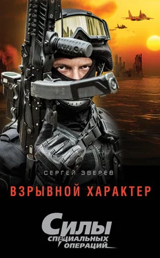 Сергей Зверев Взрывной характер обложка книги