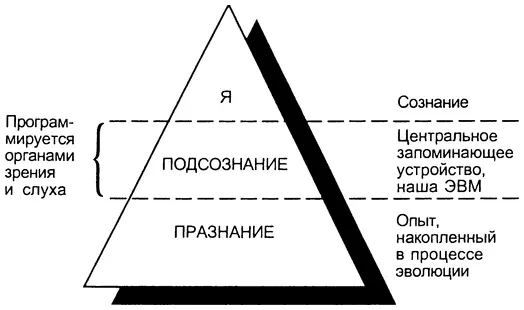 Человек как часть Вселенной подчиняется ее законам главные из которых - фото 2