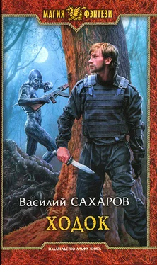 Василий Сахаров Ходок обложка книги