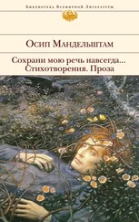 Осип Мандельштам - Сохрани мою речь навсегда… Стихотворения. Проза (сборник)