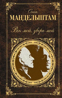 Осип Мандельштам Век мой, зверь мой (сборник) обложка книги