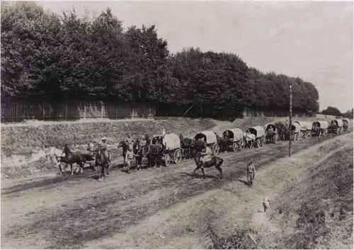 Санитарный транспорт в походе ЮгоЗападный фронт Фото 19151916 гг РГВИА - фото 25
