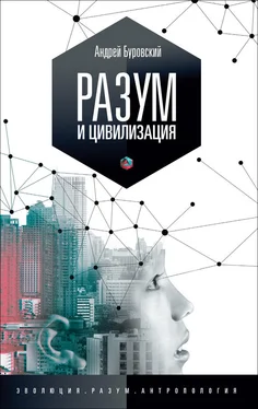 Андрей Буровский Разум и цивилизация, или Мерцание в темноте обложка книги