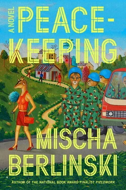 Mischa Berlinski Peacekeeping обложка книги