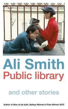 Ali Smith Public Library and Other Stories обложка книги