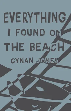 Cynan Jones Everything I Found on the Beach обложка книги